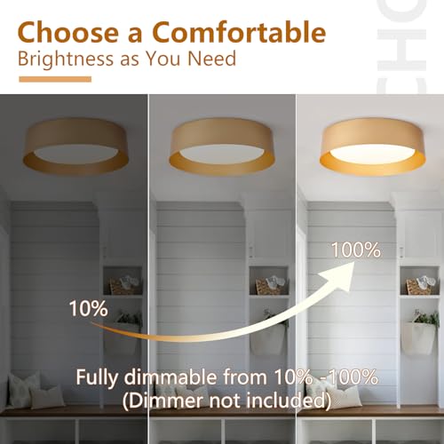 Gold Flush Mount Ceiling Light