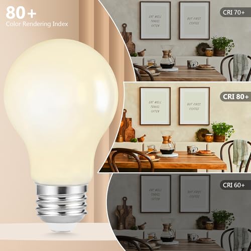 12 Pack A19 LED Light Bulbs Dimmable (12 Count)