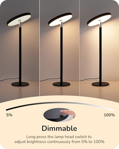 LED Table Lamp