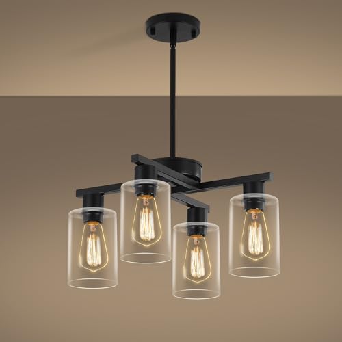 4 Light Modern Farmhouse Black Chandelier
