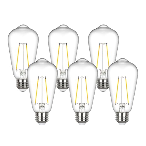 Vintage Edison Light Bulbs 60 watt Equivalent (6 Count)