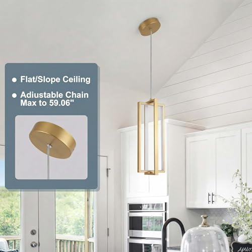 Modern Led Pendant Light Fixture
