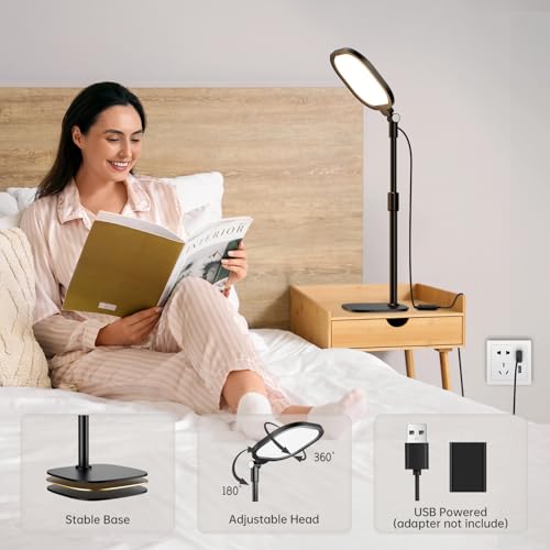 2 Packs Video Conference Lighting Kits (2 Count)