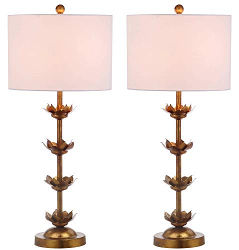 Lighting Collection (2 Count)