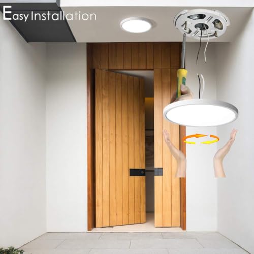 Flush Mount Ceiling Light