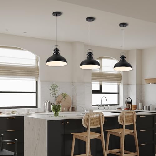 Industrial Pendant Light Fixture (2 Count)