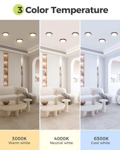 2Pack Dimmable Flush Mount Ceiling Light Fixture Oil Rubbed Bronze (2 Count)