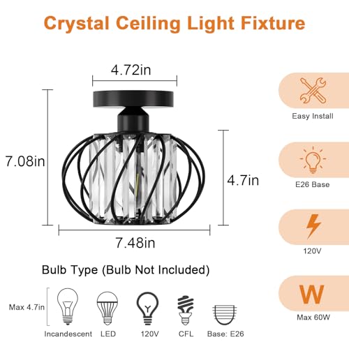Black Crystal Ceiling Light Fixture (2 Count)