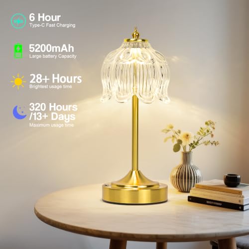 Cordless Table Lamp