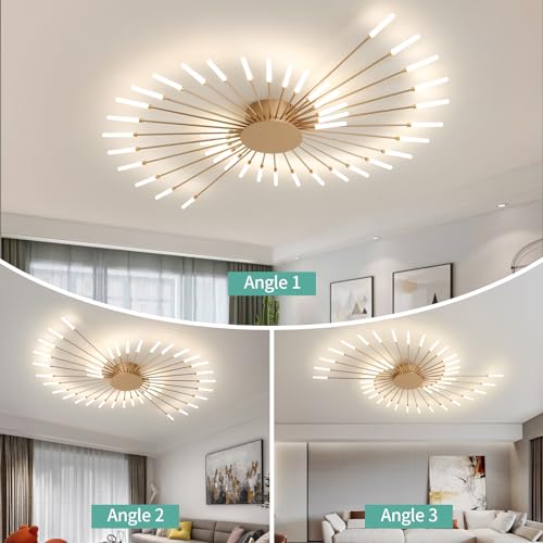 Modern Ceiling Light