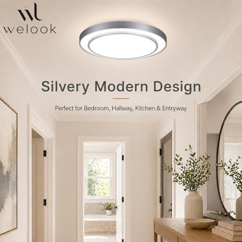 20Inch LED Flush Mount Ceiling Light (Silver / 20Inch)