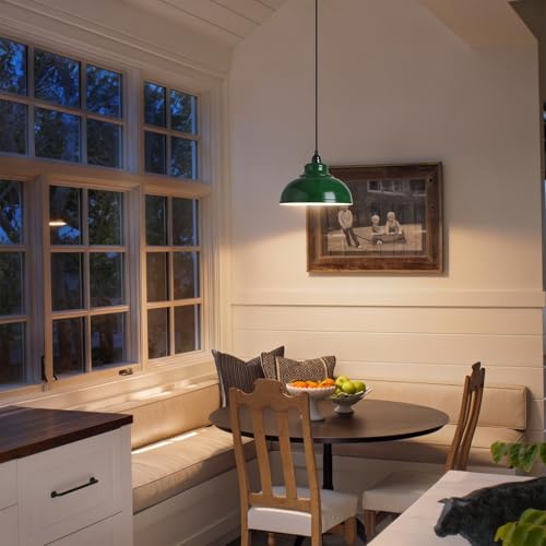 Plug in Pendant Light