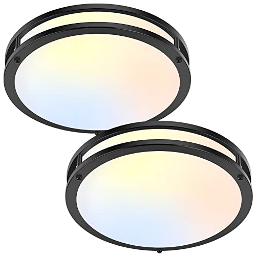 2 Pack 36W LED Ceiling Lights Black (2 Count)