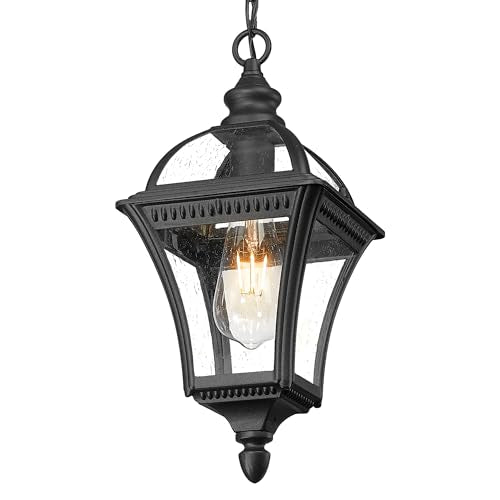 Modern Outdoor Hanging Porch Light
