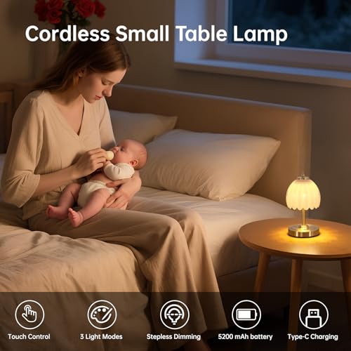 Set of 2 Tulip Table Lamp with 5200mAh Battery & Touch Control (2 Count)