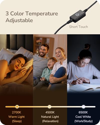 LED Table Lamp