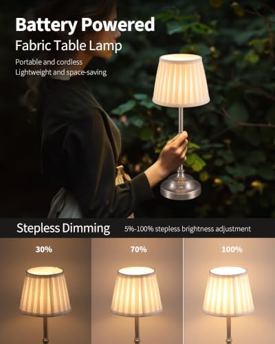 Nickel Cordless LED Table Lamps Set of 2