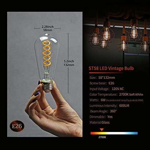6 Pack ST19 ST58 Edison Bulb (6 Count)