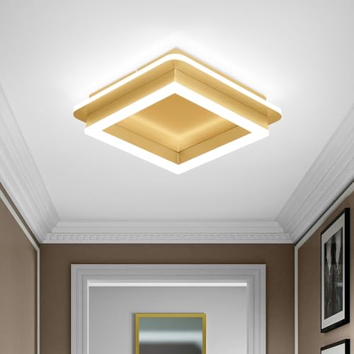 Square LED Hallway Ceiling Light