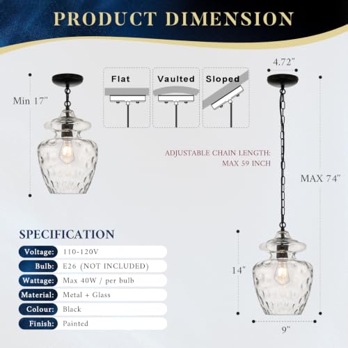 Farmhouse Black Glass Pendant Light