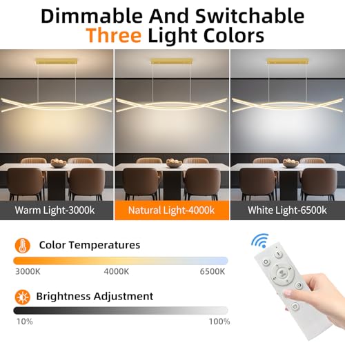 Modern Ceiling Chandelier Light