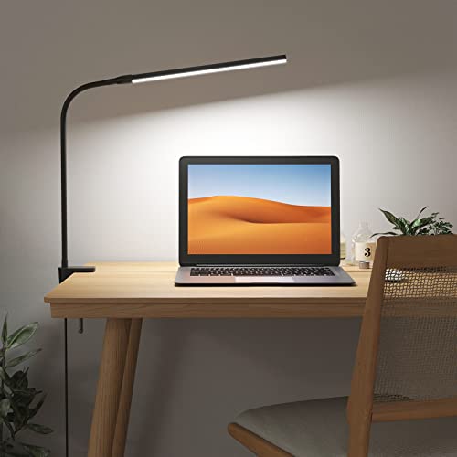 Clip on Desk Lamp