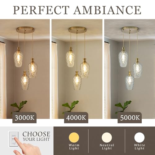 3 Light Cluster Pendant Lighting