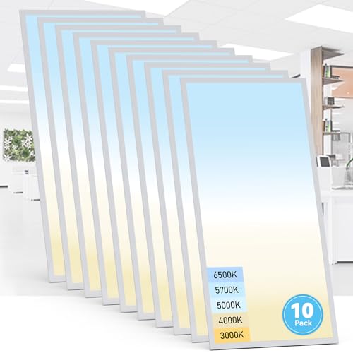 10 Pack 2x4 LED Flat Panel Light (10 Count)