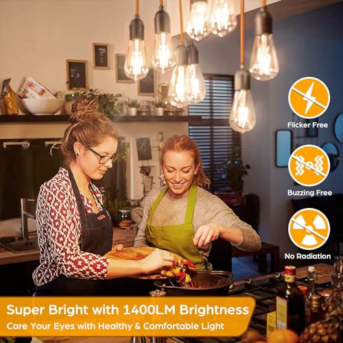 12 Pack Vintage LED Edsion Bulbs 100W Equivalent (12 Count)