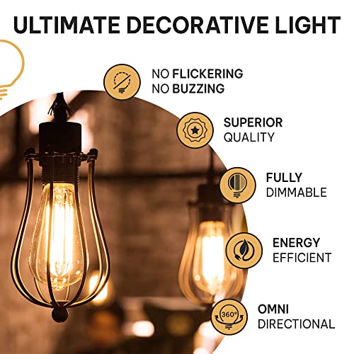 Vintage Incandescent 60W Edison Light Bulbs (4 Count)