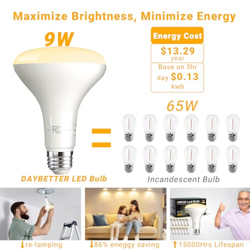BR30 LED Light Bulbs