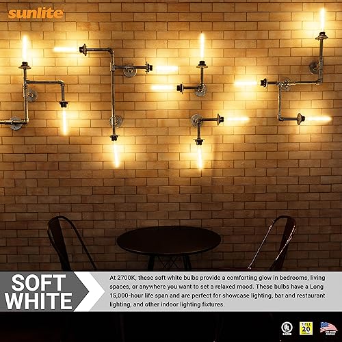 41402 LED Filament T8 Tubular Light Bulb (10 Count)