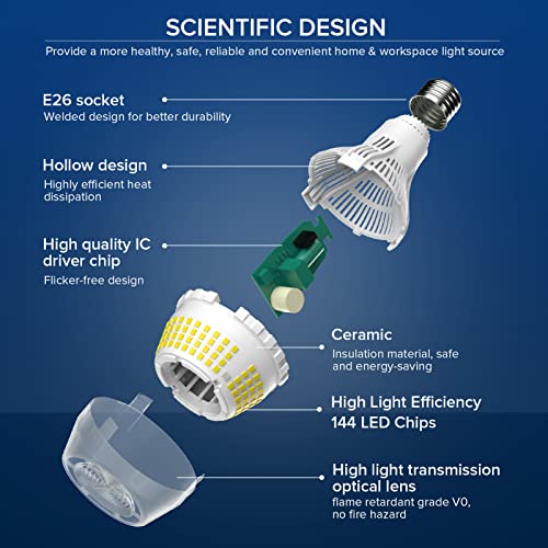 250W Equivalent LED Light Bulb 2 (2 Count)