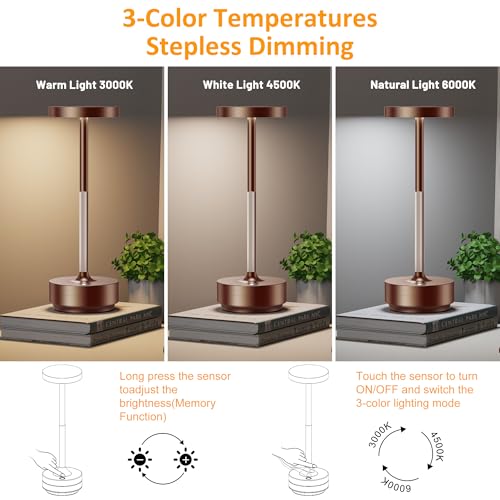 LED Cordless Table Lamp Rechargeable (2 Count)