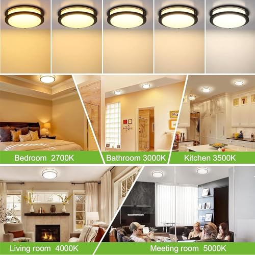 10 inch Flush Mount LED Ceiling Light Fixture (2 Count)