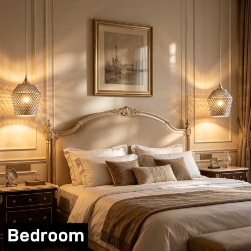 2Pcs Small Glass Lamp Shades (2 Count)