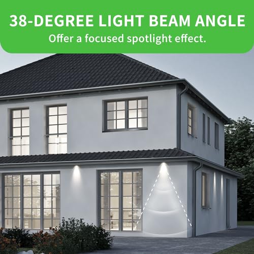 PAR38 Dusk to Dawn LED Flood Light Bulbs (2 Count)