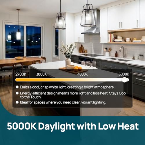 A19 LED Light Bulbs Dimmable (20 Count)