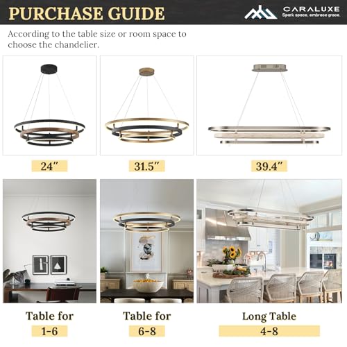 3 Ring LED Chandelier Modern Chandeliers Black Gold Brass Dimmable 24''