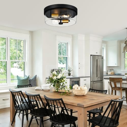 Flush Mount Ceiling Light Fixtures
