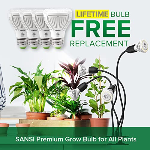 LED Grow Lights for Indoor Plants