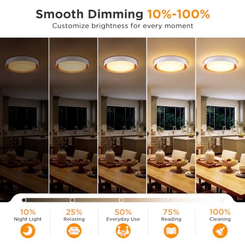 Flush Mount Ceiling Light (Matte White)