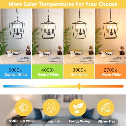 Dimmable E12 LED Candelabra Bulbs 60W Equivalent (12 Count)