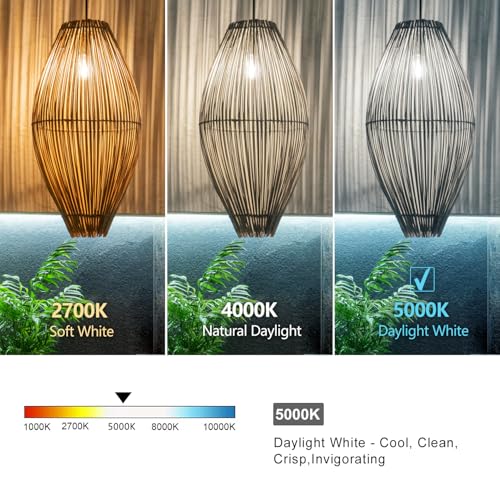 12 PCS ST58 Dimmable Spiral Vintage E26 LED Bulb 60 Watt LED Edison Bulbs (12 Count)