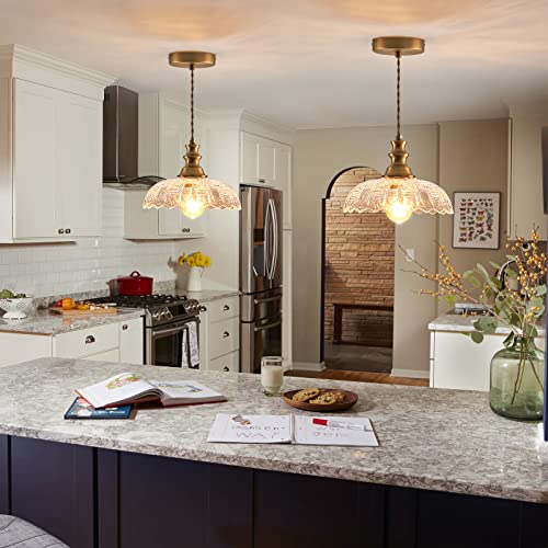 2 Pack Pendant Light Vintage Oil Rubbed Bronze Metal Glass Shade Chandelier