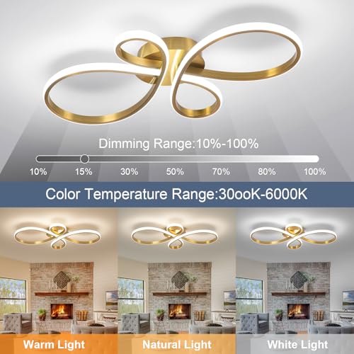 Modern LED Ceiling Light
