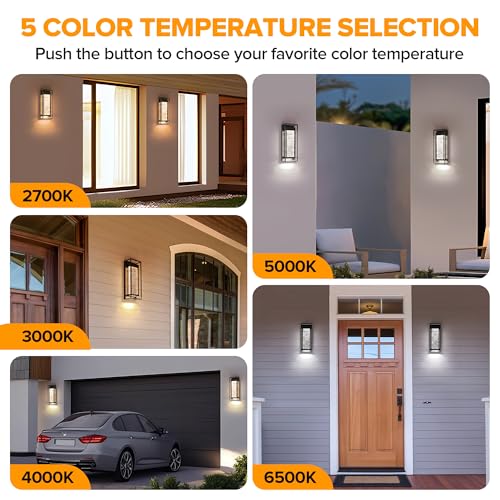 2 Pack Outdoor Wall Light Fixtures (2 Count)