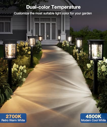 Solar Pathway Lights