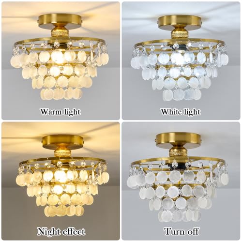 Capiz Shell Ceiling Light