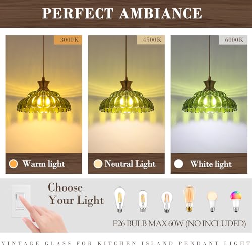2Pack Glass Pendant Lights (2 Count)